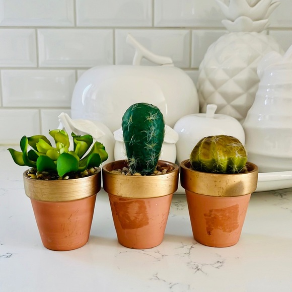 Pier 1 set of three faux mini decorative cactus - Picture 2 of 15